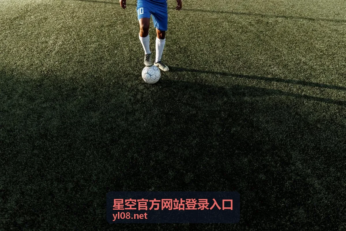 星空官方网站登录入口的联系与支持示意图